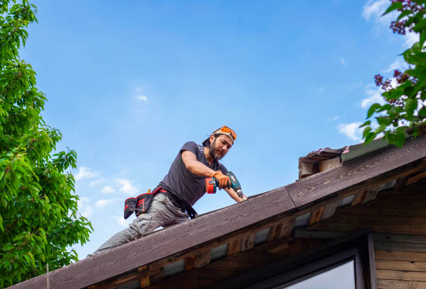 Best Cold Roofs  in Nokomis, IL