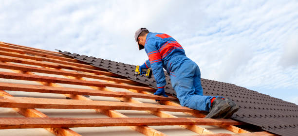 Best Chimney Flashing Repair  in Nokomis, IL